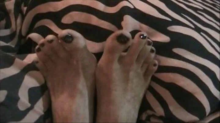 Tiffanies Toes