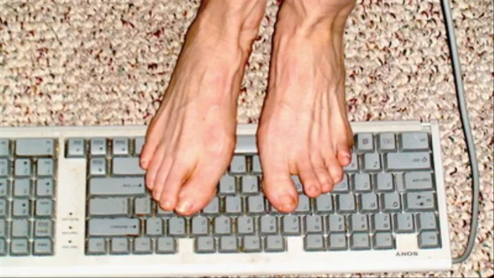 Tiffanis Toes Typing!