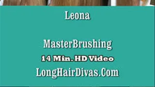 MasterBrushing