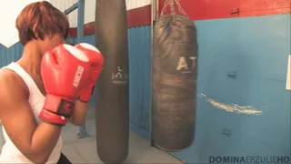 Kick boxing practice - part 3 (WMV )