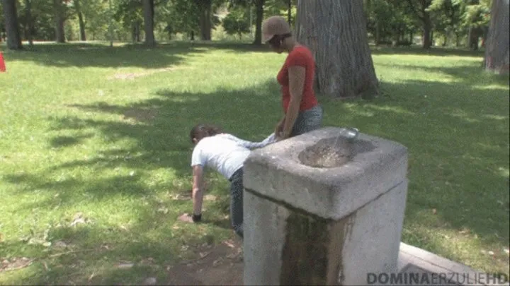 Pony back ride and face sitting (MP4 )