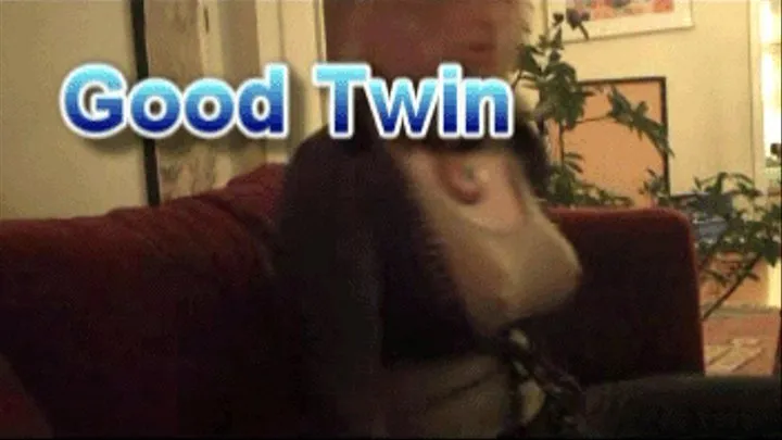 Good Twin, Bad Twin: part 1