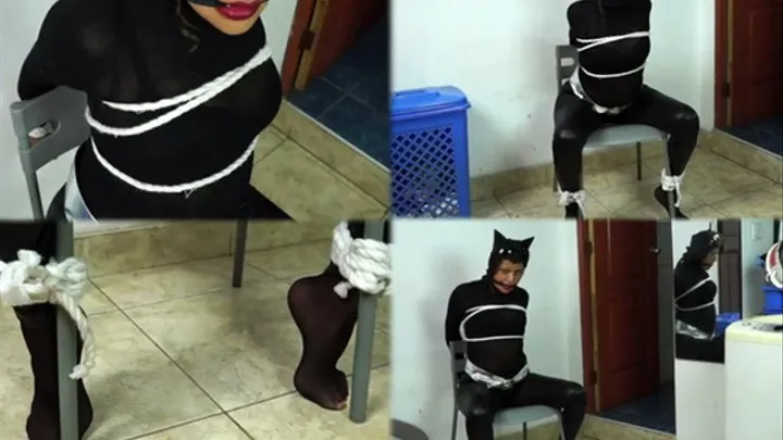 Chairtied ebony kitty