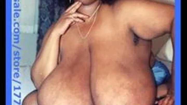 #AS283 Norma Stitz's