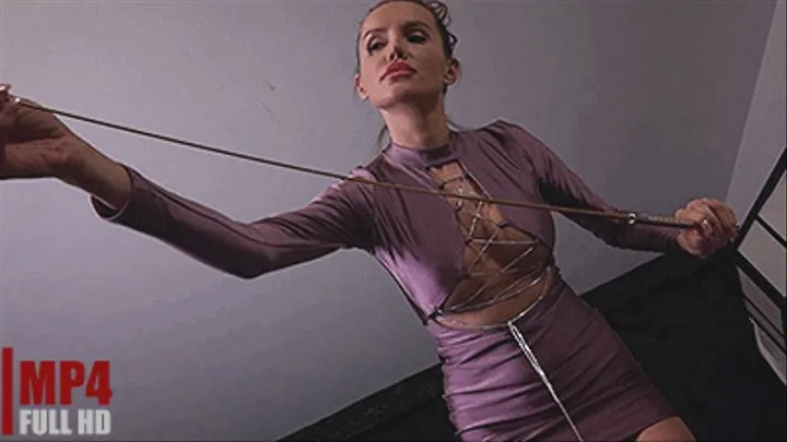 Beauty And Her Toys Of Pain - Lady Marisa