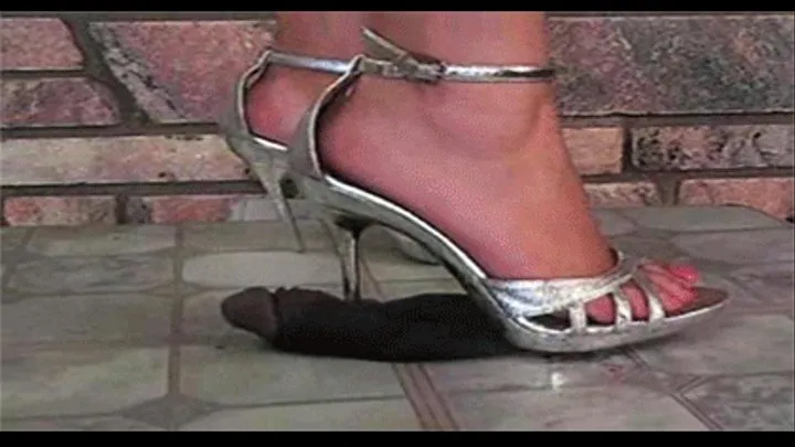 Sharp Metal-Tip Heels!!!