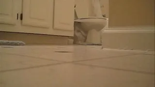 TOILET VOYEUR