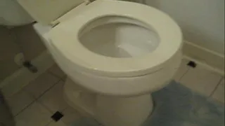 Toilet Slave Task #8