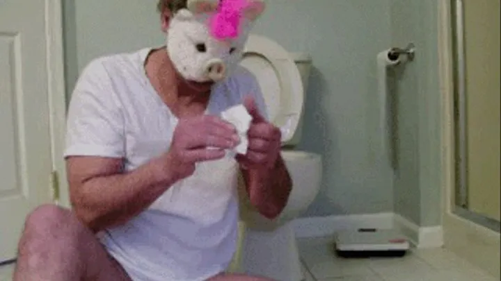 TOILET PAPER PIG!