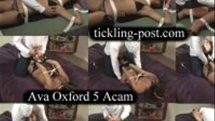 Tickling Ava Oxford 5 Acam - Guy Gets Her Bigtime - Dialup Screen