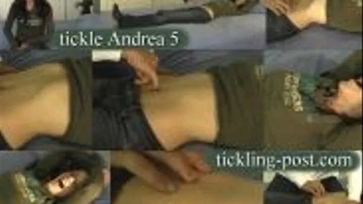 Tickling Andrea 5 - All Out Tummy Tickling - Dialup Screen