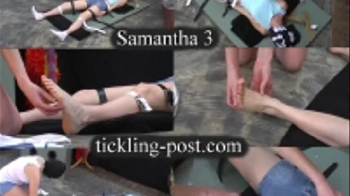 Walmart Tickling Revenge - Samantha 3 - Dialup Screen