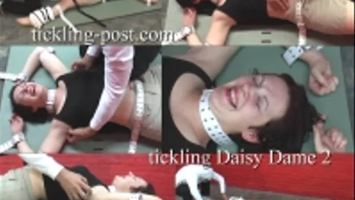 Tickling Daisy Dame 2 - Girl Next Door - Dialup Screen