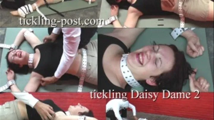 Tickling Daisy Dame 2 - Girl Next Door - Medium Screen