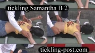 Tickling Samantha 2 - Driven Crazy With Laughter - Dialup Screen