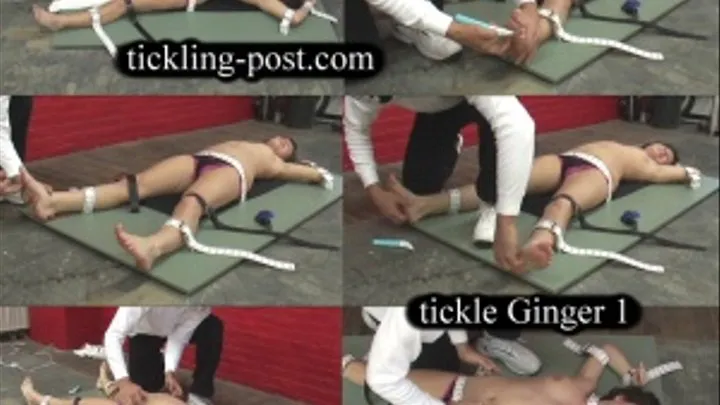 Tickling Ginger 1 - Topless, Ticklish, Tormented - Medium Screen