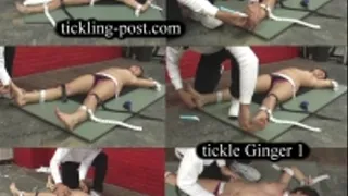Tickling Ginger 1 - Topless, Ticklish, Tormented - Dialup Screen