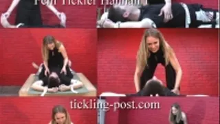 Fem Tickler Hannah 1 - Girl Tickles Guy - Dialup Screen