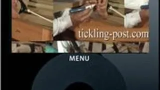 Tickling Harbor 1 - Tickled For Cash