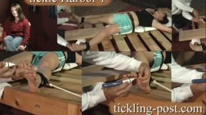 Tickling Harbor 1 - Tickled For Cash - Medium Screen