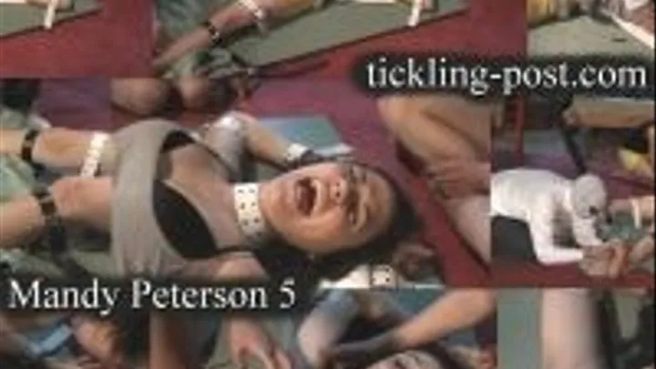 Tickling Mandy Peterson 5 - Three on One - Dialup Screen