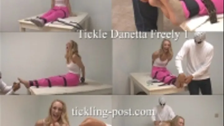 Tickling Danetta Freely 1 - Dialup Screen