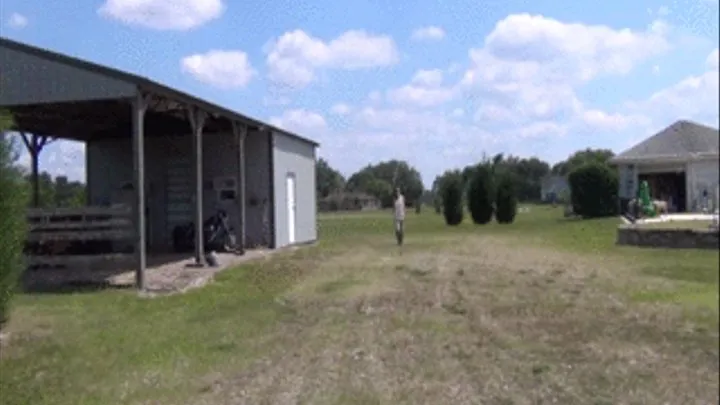 Hazel Blind Pony Training