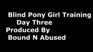 Blind Pony Girl Pt 3