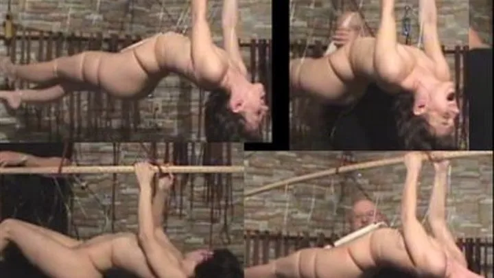 Elise Graves line suspension