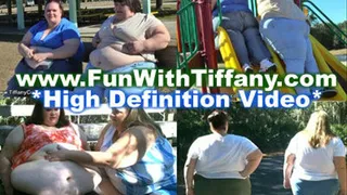 Park Fun With Friends 6 Video Combo