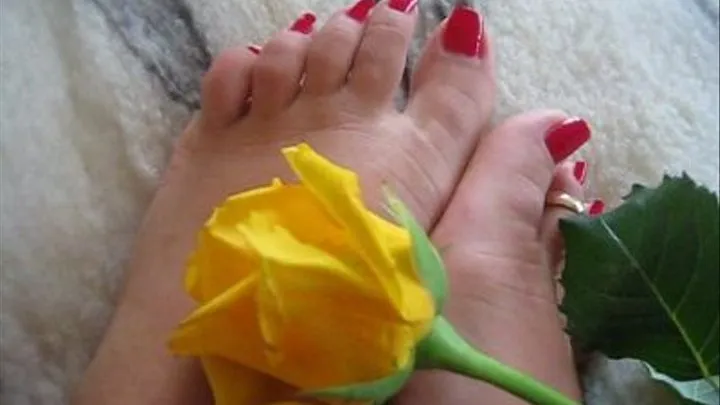 Pretty Feet And Tender Rose