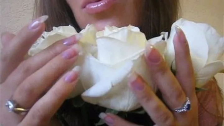 White Roses & Clear Growing Nails(lower resolution)