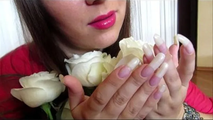 My Perfect Nails - Your Natural Desire (Standart)