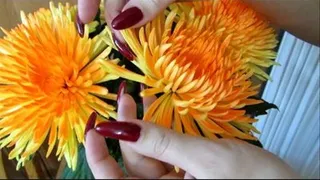 Nails, Flowers: Classic