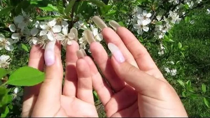 Nails In Summer Gardens (Standart)