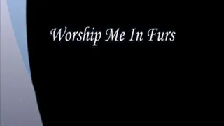 Worship Me In Furs
