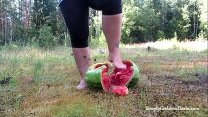 Watermelon Barefoot Crush
