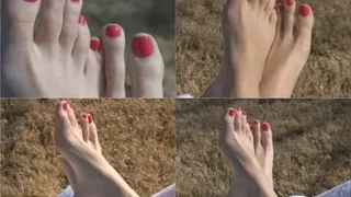 Karen's Long Toes and Arches in Red Polish