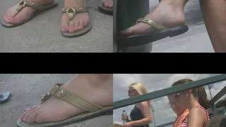 Pink Pedicured Toes in Gold Sandles Closeup