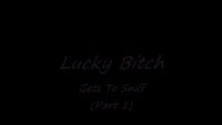 Lucky Bitch Gets To Sniff (Part 1)