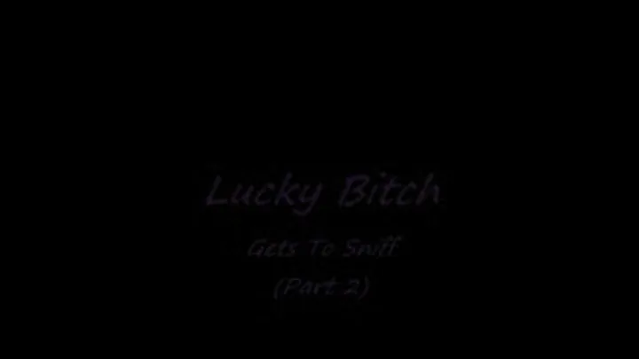 Lucky Bitch Gets To Sniff (Part 2)
