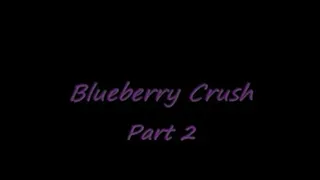 Blueberry Crush - Part 2