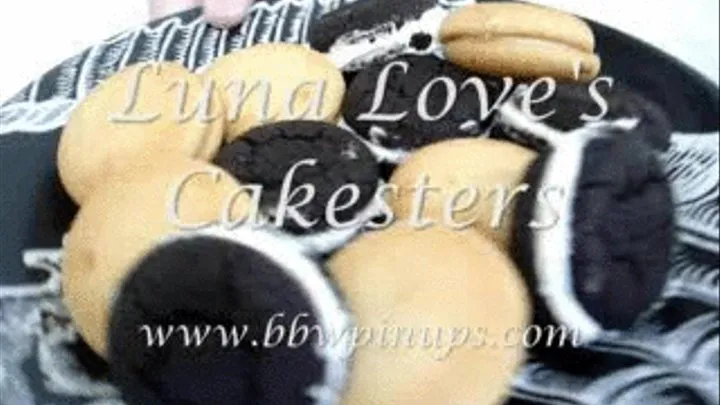 Luna Love's Cakesters 4:3