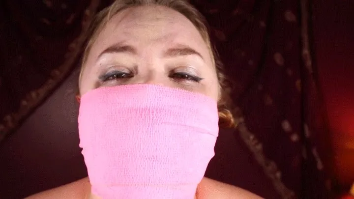 Panty Gagged and Vet Wrapped