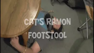 Ramon's Facefull of Feet: Cat!