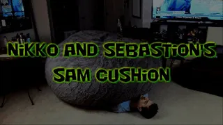 Nikko and Sebastion's Sam Cushion!