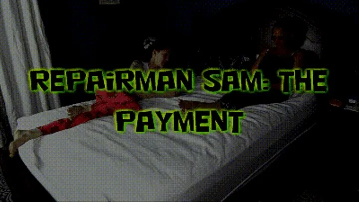 Repairman Sam: Payment!