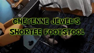 Cheyenne Jewel's Shortee Footstool!