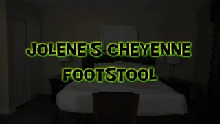 Jolene's Cheyenne Jewel Footstool!