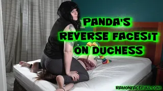 Panda's Reverse Facesit on Duchess!